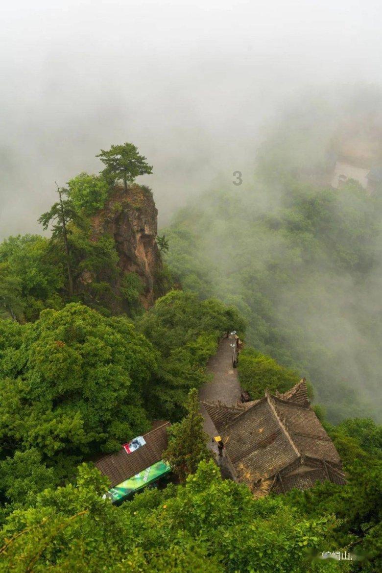 奥莉的夏威夷之旅